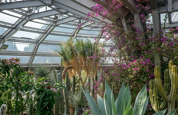 Botanical Garden