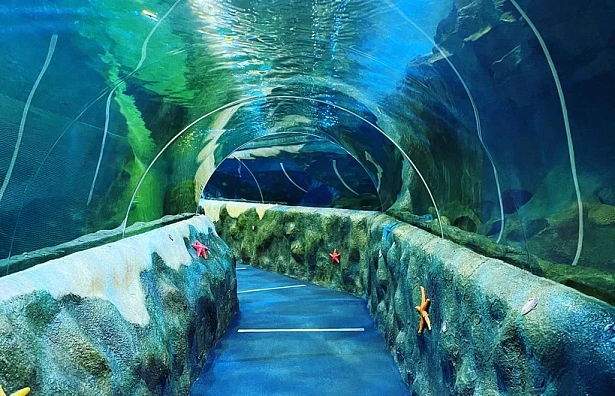 水族馆「Ailand」